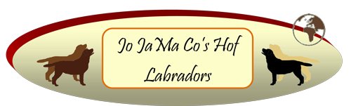 JoJaMaCo’s Hof